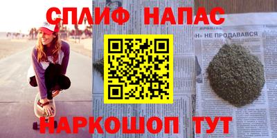 гашик Сланцы
