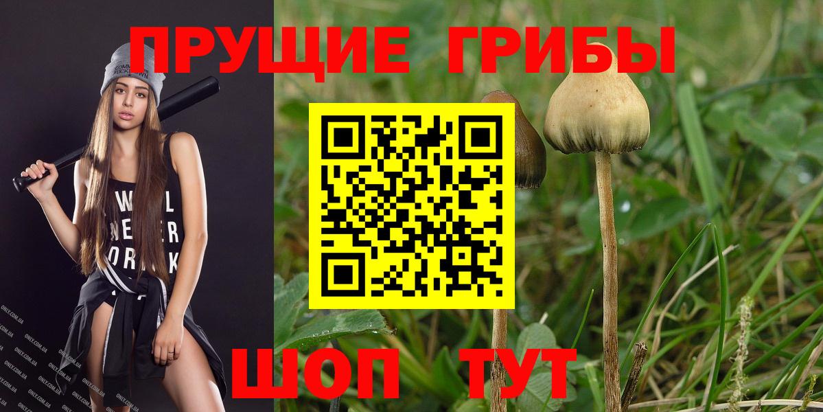 Псилоцибиновые грибы Cubensis  Вход с VPN  Ногинск 