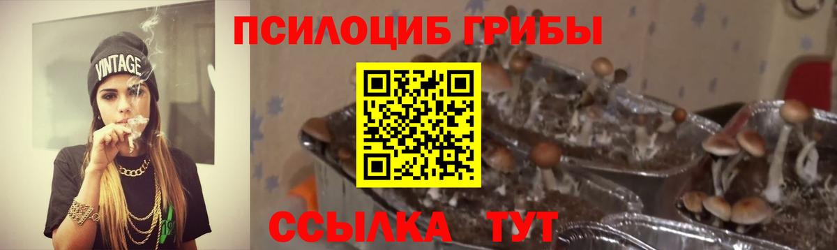 Канабис Ногинск